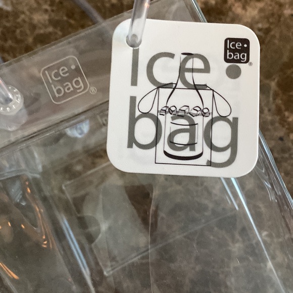 ❄️ ICE BAG ❄️ CLEAR ❄️ 10x4 and 5” handles, card slot on back for promo, NWTags - Picture 3 of 10